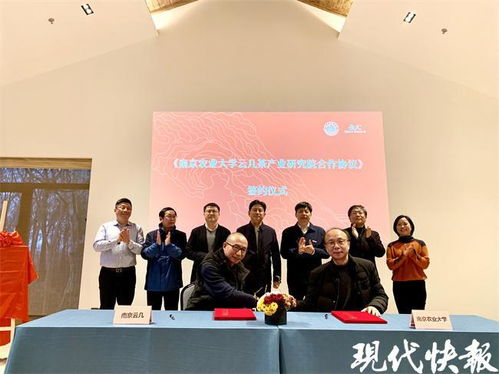 茶叶也能做亲子鉴定？南农大突破性技术即将在南京落地推广