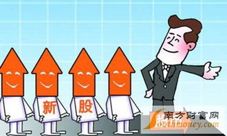 延江股份(300658)中签率查询、中签号公布时间及技术服务解析