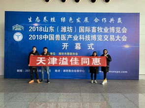 母牛防病三关键，科学养殖稳增收——技术服务与推广策略