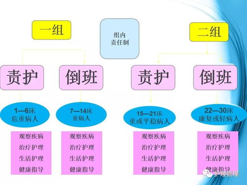 精细化护理管理与服务实践的探索及技术推广路径