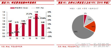 价值目录 光伏封装材料龙头福斯特，二十三载专注成就行业标杆
