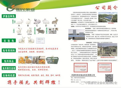 第七届2017中国兔业发展大会 行业精英齐聚，技术与服务共绘产业蓝图